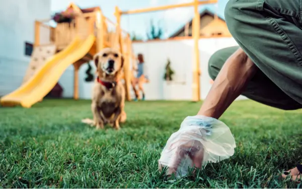 Can You Compost Dog Waste? Here's What To Do With All That Poo