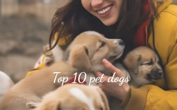 Top 10 pet dogs.