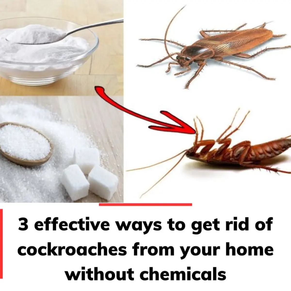 Too effective to try