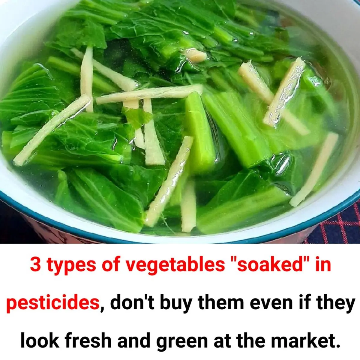 Even if you see them at the market, don’t buy them
