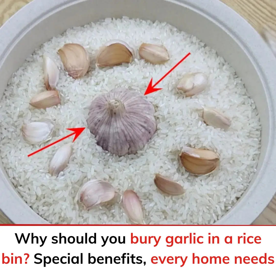 Why should you bury garlic in a rice bin?