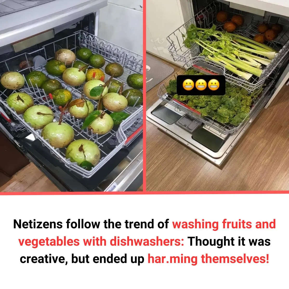Netizens Follow the Trend of Washing Fruits and Vegetables with Dishwashers