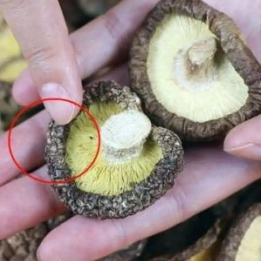 Choosing shiitake mushrooms does not need to be big: Look at this point to choose the right dried shiitake mushrooms