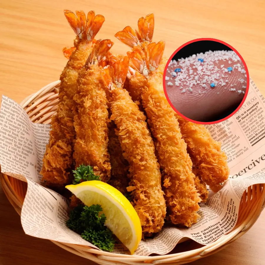 2 types of seafood are full of microplastic particles but many people eat them every day without knowing the health risks