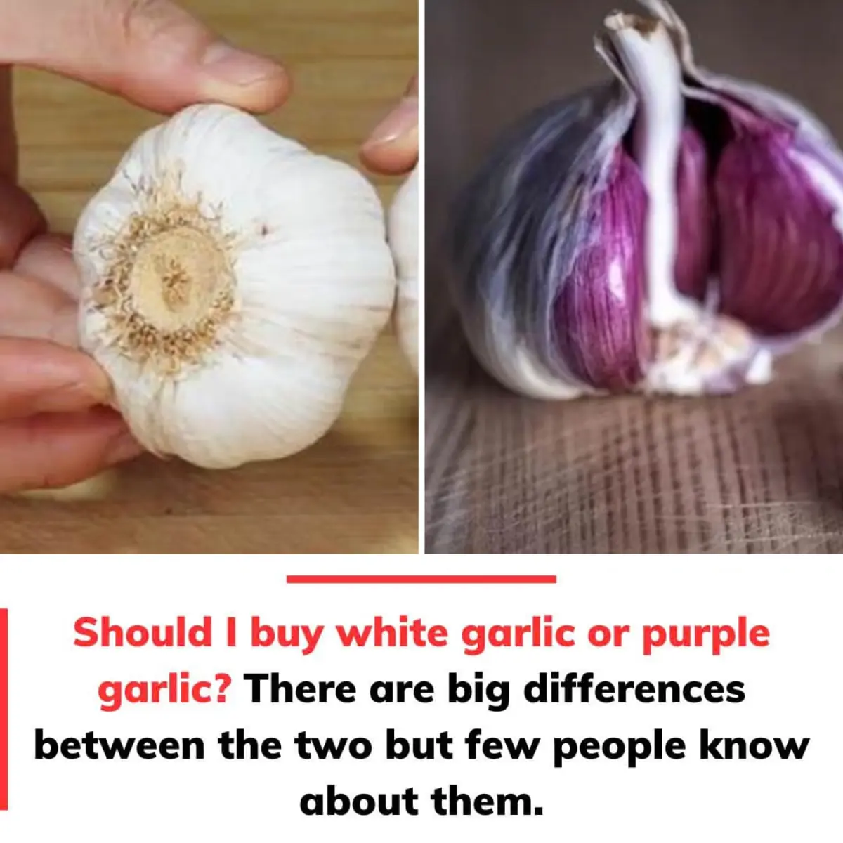 Should I buy white garlic or purple garlic?