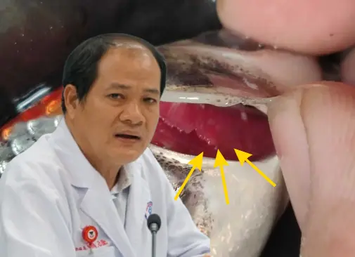 Definitely avoid eating these, doctors are ter:rified