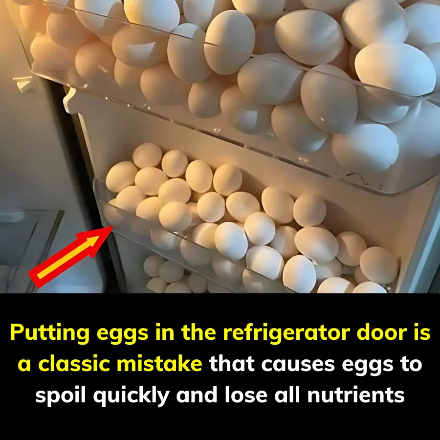 Putting eggs in the refrigerator door is a classic mistake that causes eggs to spoil quickly and lose all nutrients