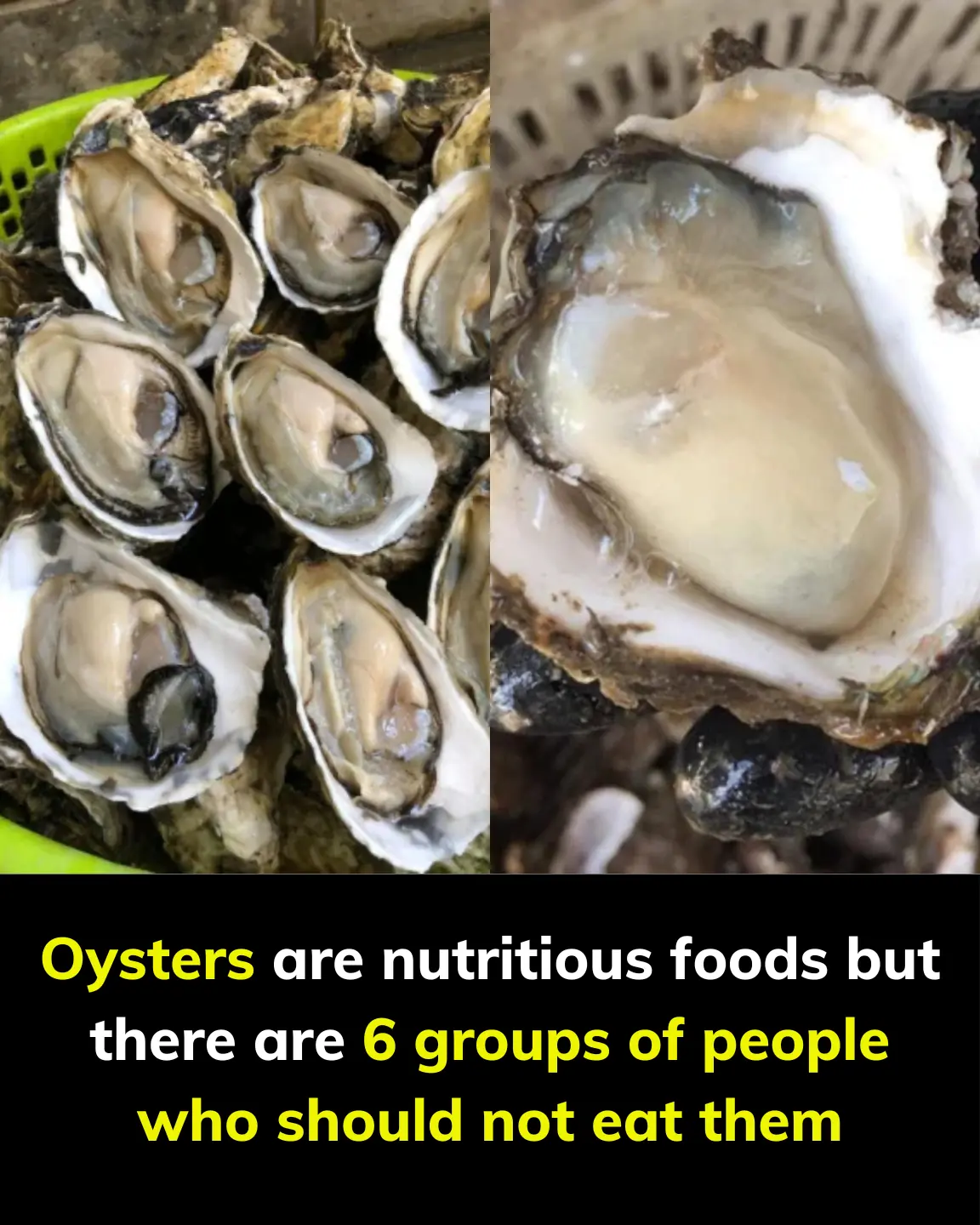 Oysters are nutritious foods but there are 6 groups of people who should not eat them