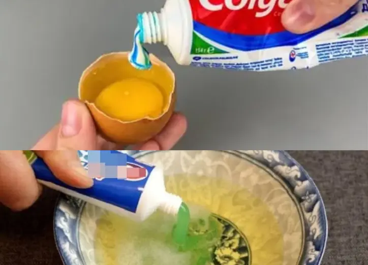 Life Hack with Egg & Toothpaste