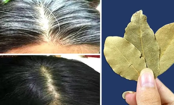 Gray Hair Gone in Just 2 Minutes?