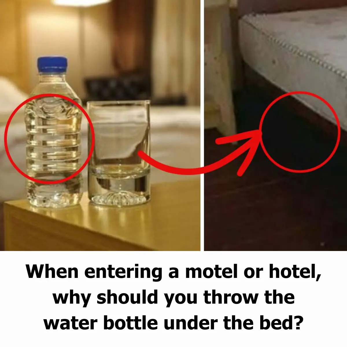 When Entering a Motel or Hotel, Why Should You Throw the Water Bottle Under the Bed?