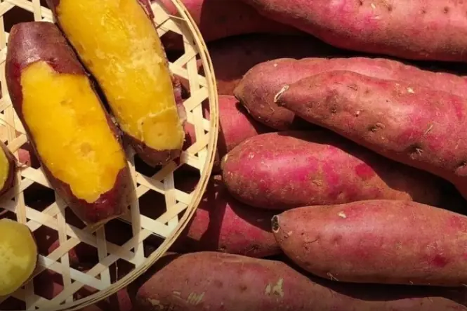 Sweet Potatoes: A Life-Changing Superfood