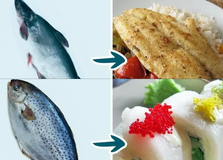 5 Types of Fish High in Mercury