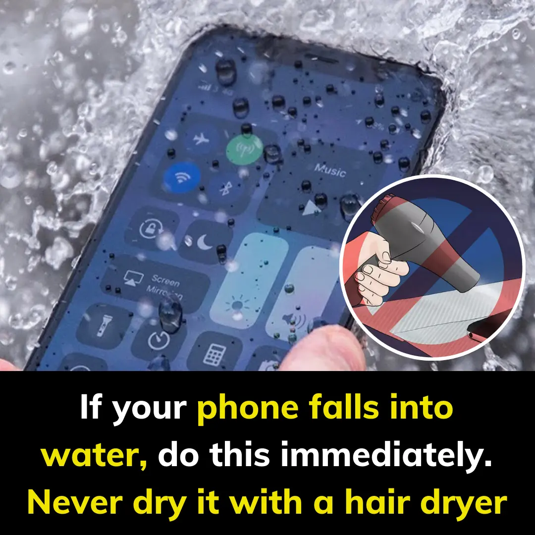 If your phone falls into water, do this immediately. Never dry it with a hair dryer