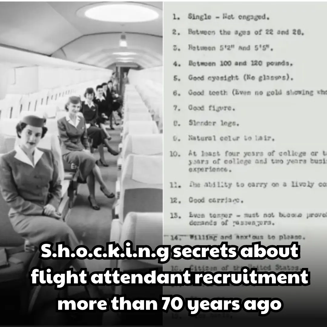 S.h.o.ck.in.g secrets about flight attendant recruitment more than 70 years ago