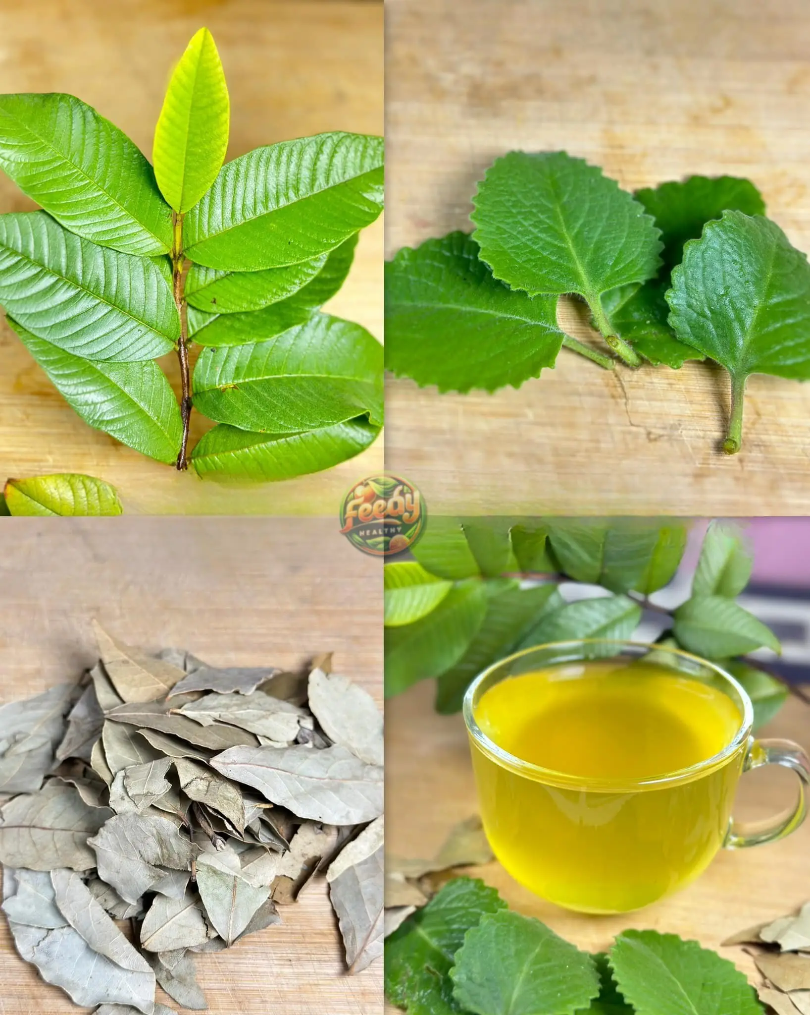 The Healing Leaves That Can Help with Diabetes, Poor Circulation, Fatty Liver, High Blood Pressure, and Even Cancer!