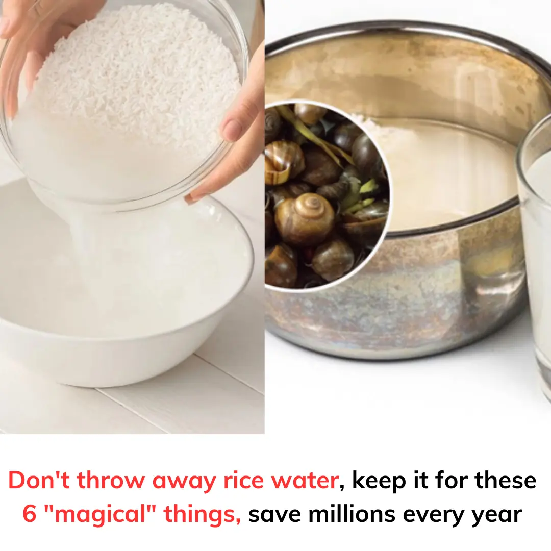 Don't throw away rice water, keep it for these 6 "magical" things