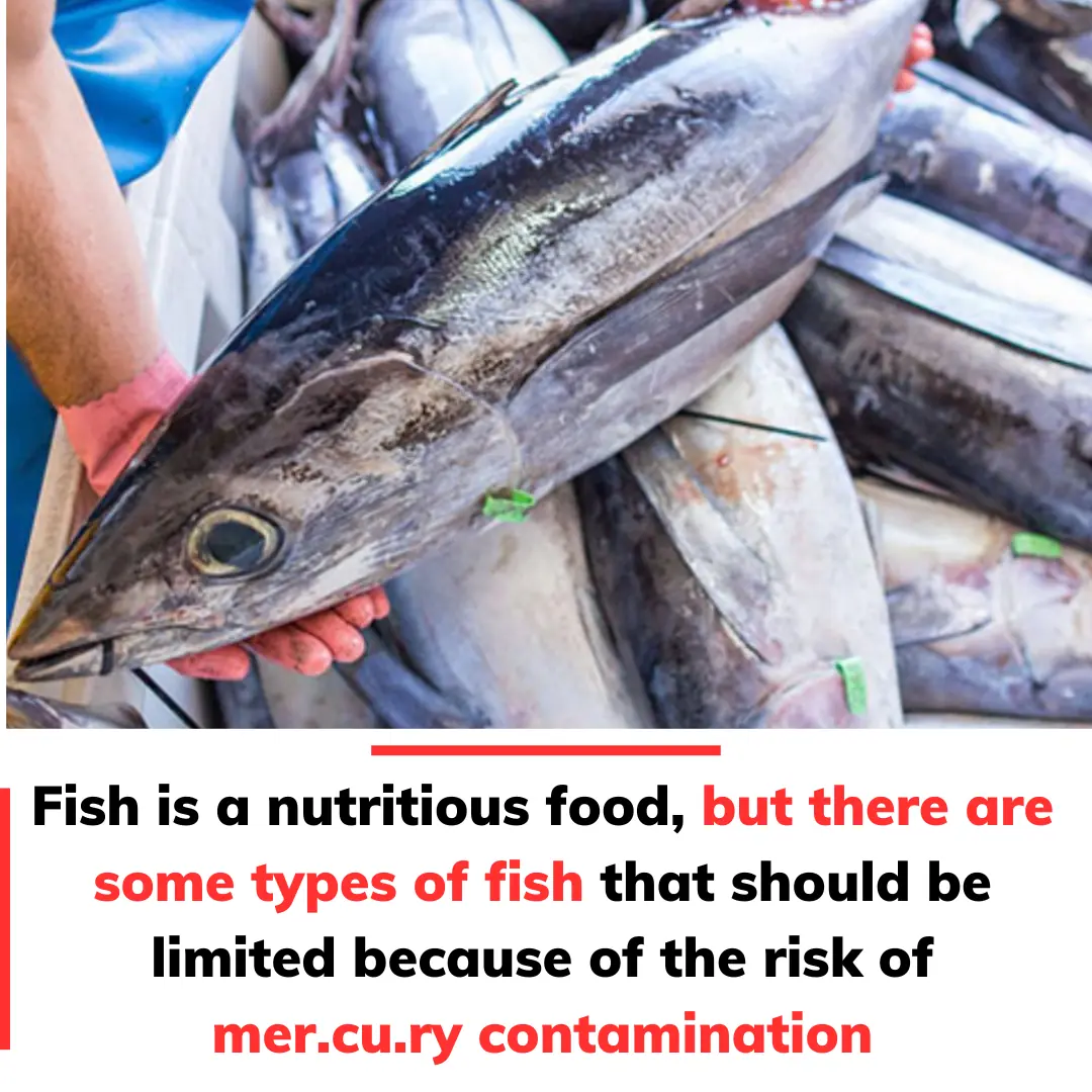 Fish is a nutritious food, but there are some types of fish that should be limited because of the risk of mercury contamination