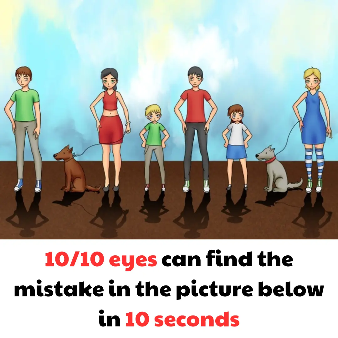 10/10 eyes can find the mistake in the picture below in 10 seconds