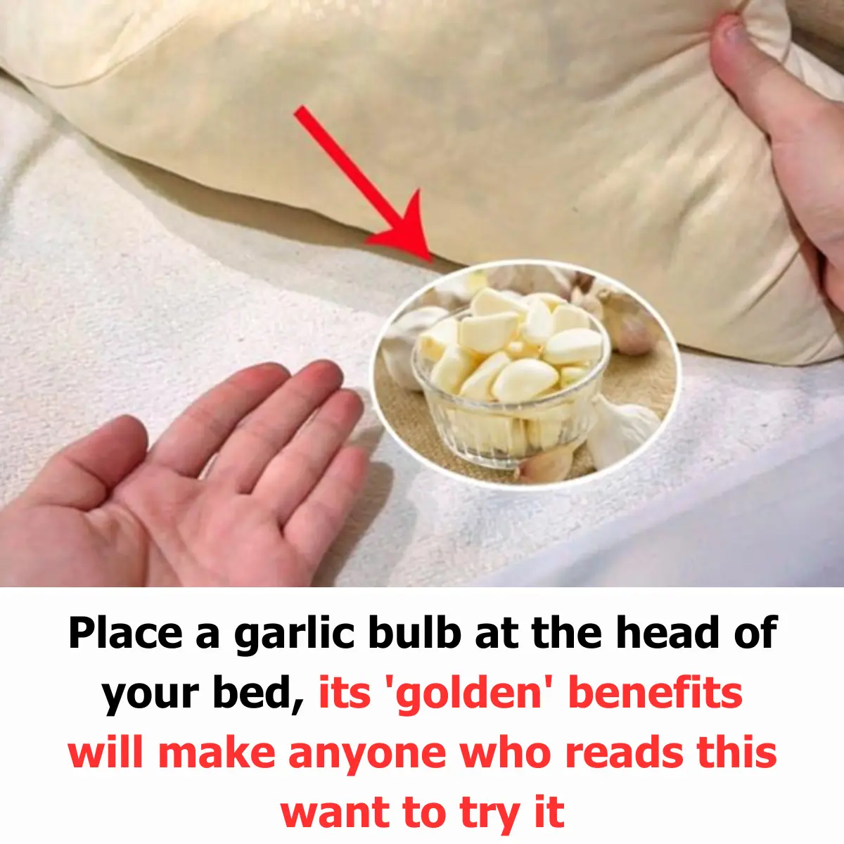 Place a Garlic Bulb at the Head of Your Bed: Its 'Golden' Benefits Will Make Anyone Who Reads This Want to Try It