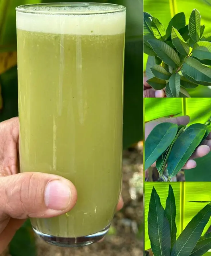 This Drink May Help Cure Cancer, Diabetes, Poor Circulation, and High Blood Pressure Naturally