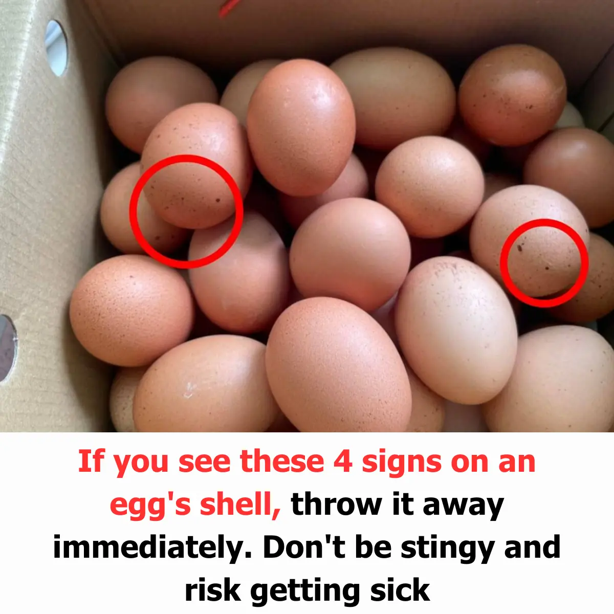 Title: "If You See These 4 Signs on an Egg's Shell, Throw It Away Immediately: Don't Be Stingy and Risk Getting Sick"