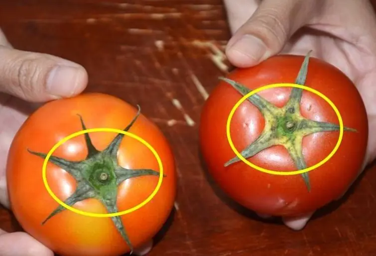 Distinguish Naturally Ripened Tomatoes