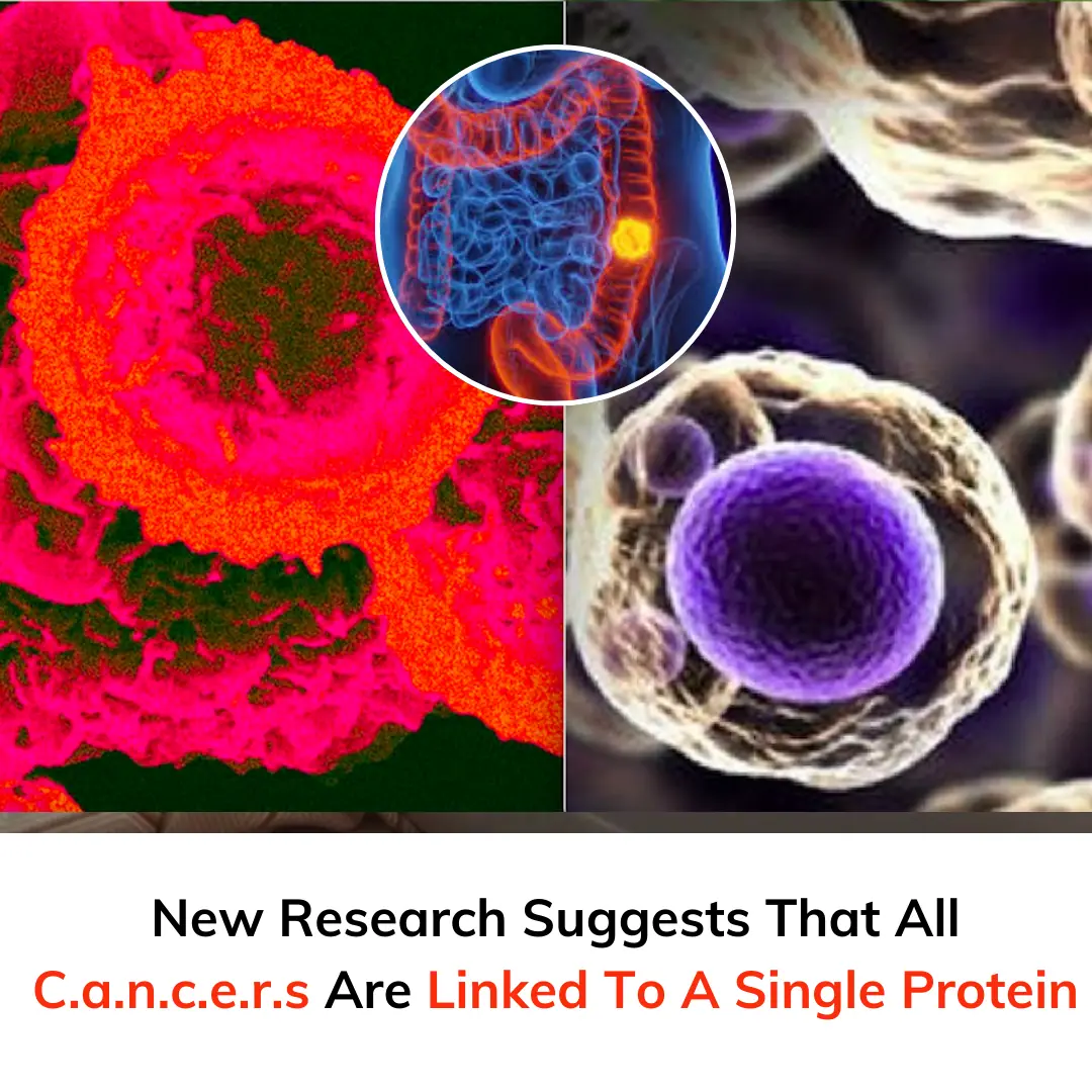 New Research Suggests That All C.a.n.c.e.r.s Are Linked To A Single Protein