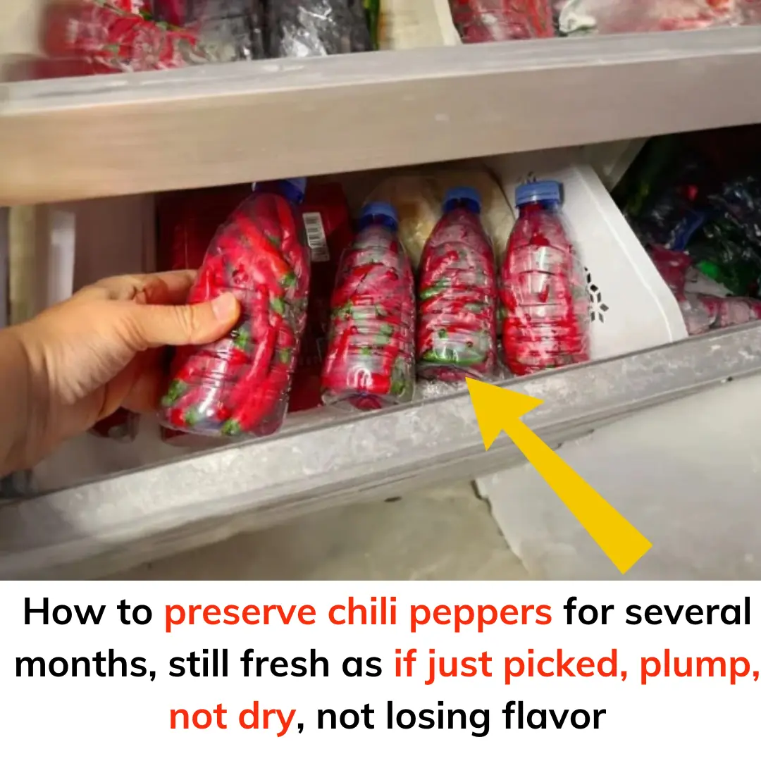 How to preserve chili peppers for several months