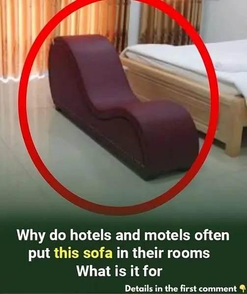 Hotels and motels often put this sofa in the room to