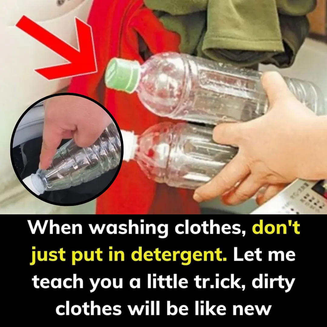 With just this little tip, your clothes will be sparkling clean