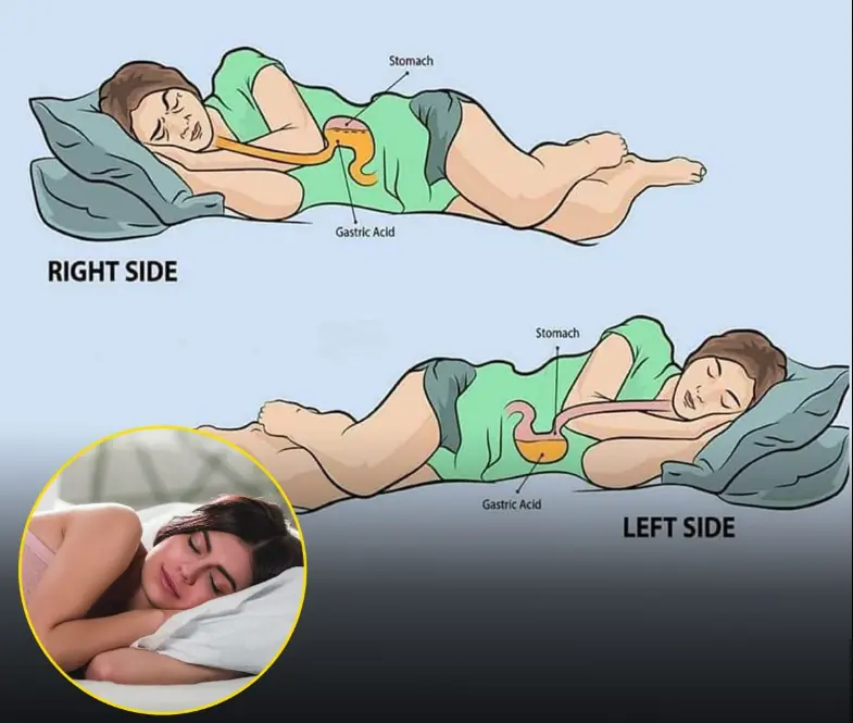 This is what sleeping on the left side does for our brain, stomach & glymphatic health