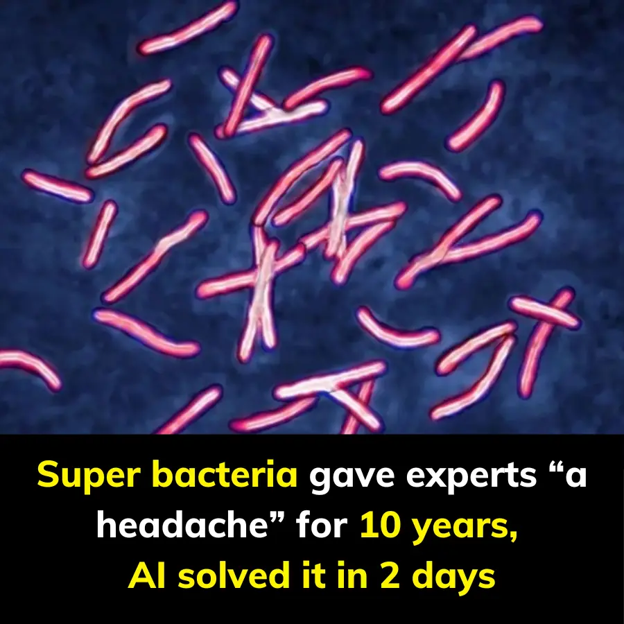 Super bacteria gave experts a headache for 10 years, AI solved it in 2 days