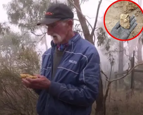 The lucky old man suddenly found a block of gold worth hundreds of thousands of dollars