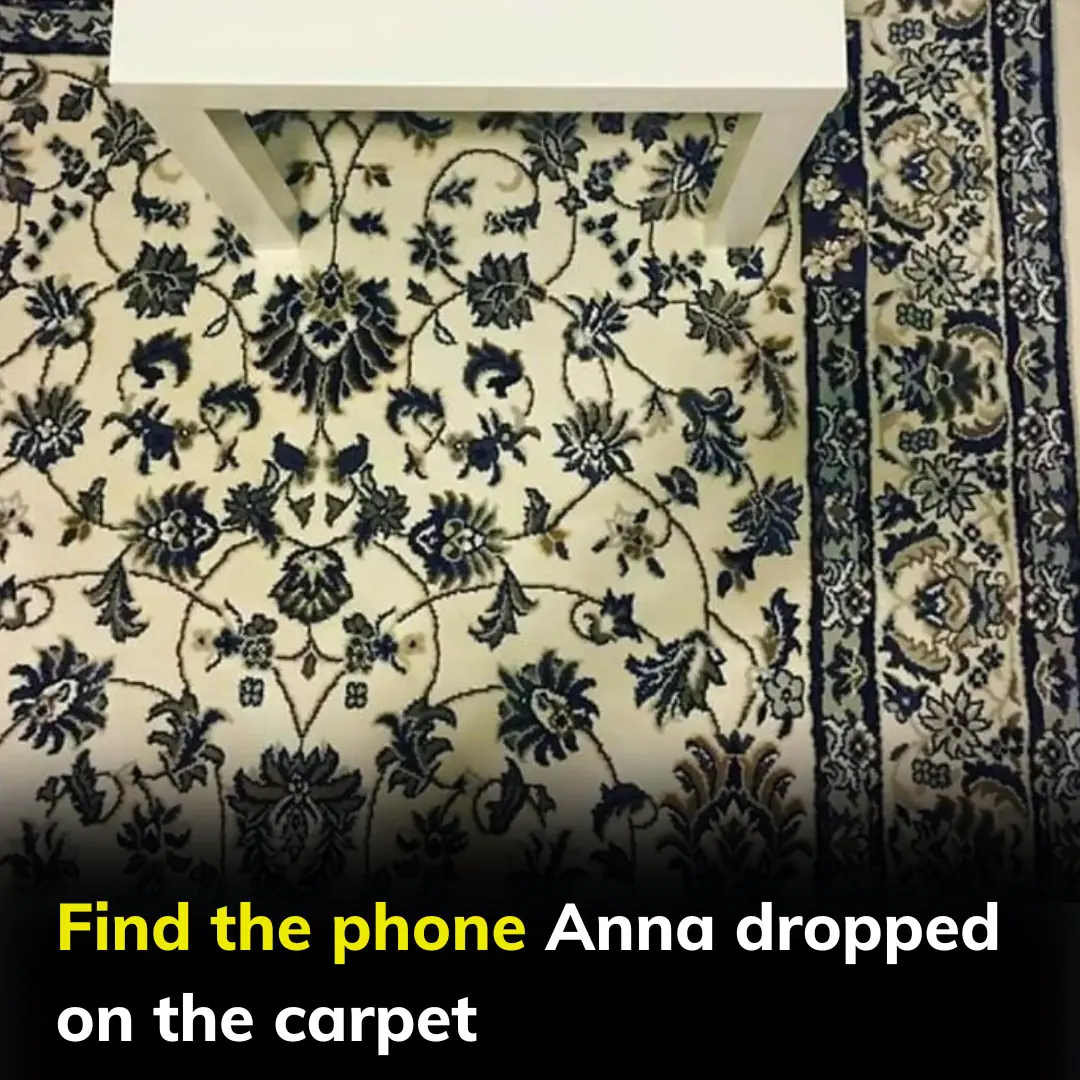 Find the phone Anna dropped on the carpet