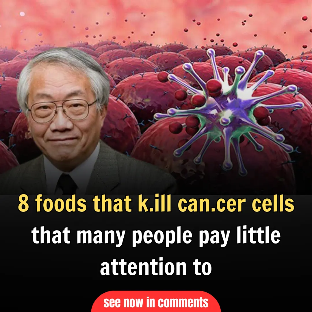 8 foods that kill cancer cells