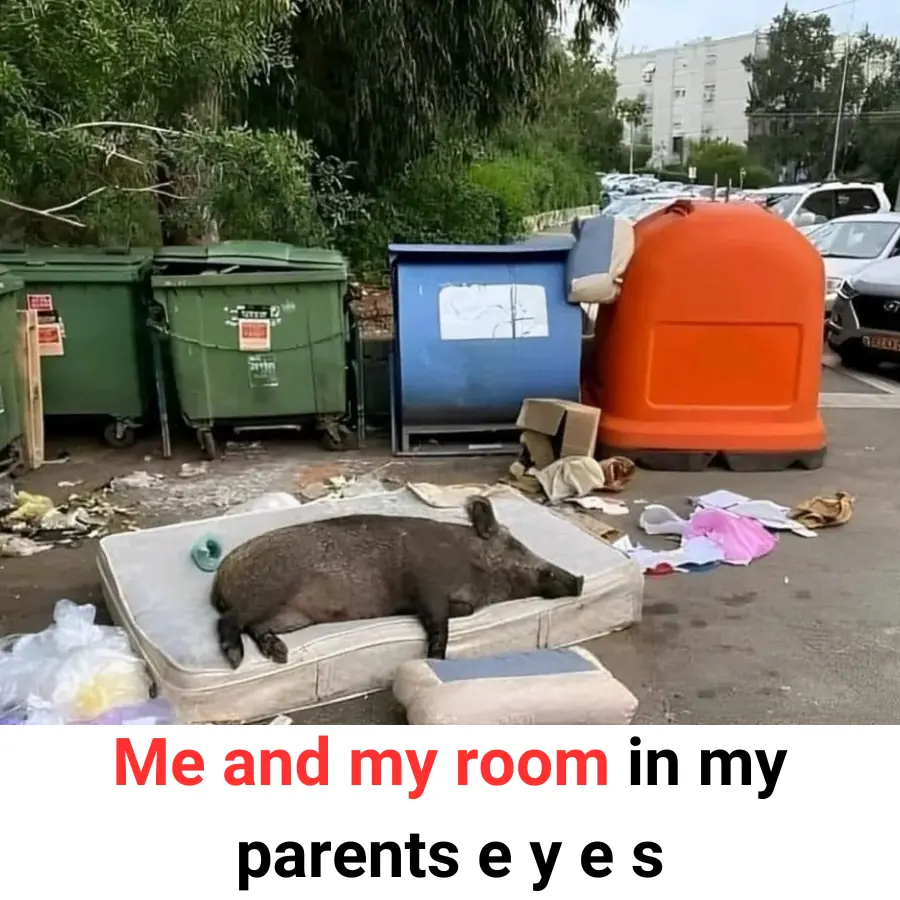 Me and my room in my parents eyes