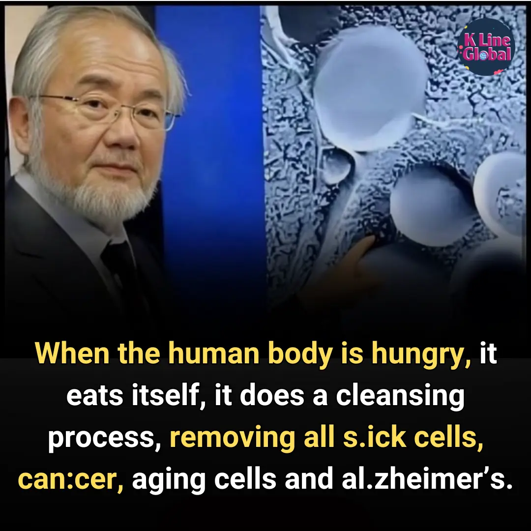 When the human body is hungry, it eats itself