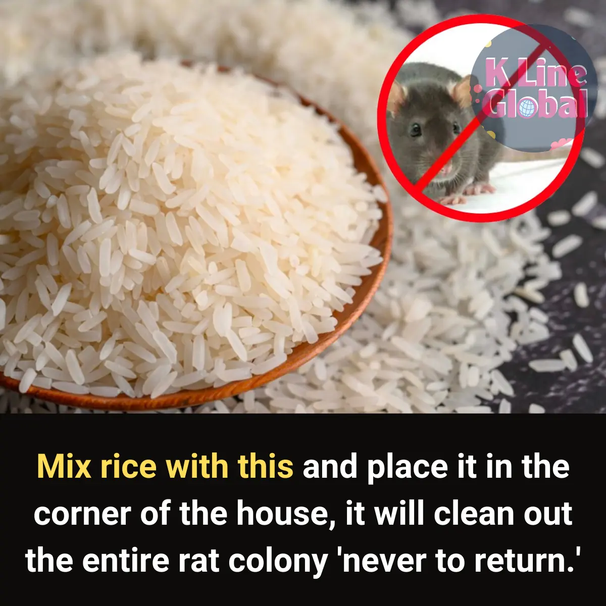 Mix rice with this and leave it in the corner of the house, the mice will run away and never d a r e to come near