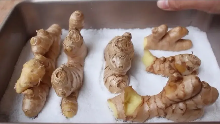 Tips for Storing Ginger Without Refrigeration – Keep It Fresh for a Year Without Sprouting or Rotting