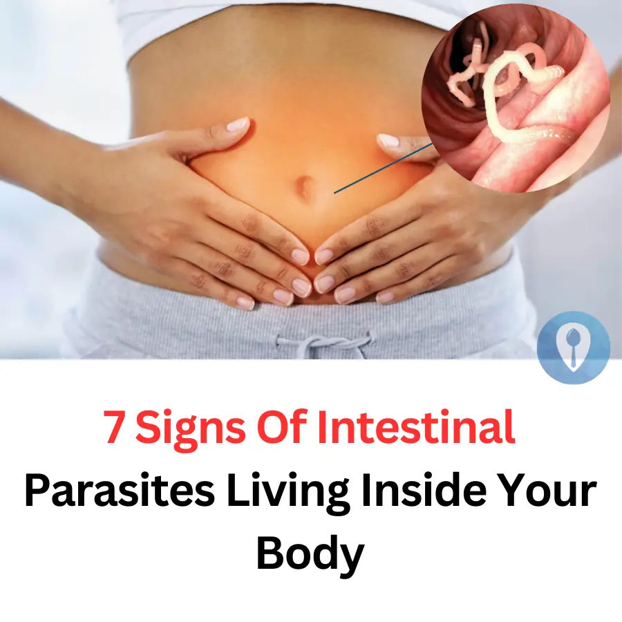 7 Signs Of Intestinal Parasites Living Inside Your Body