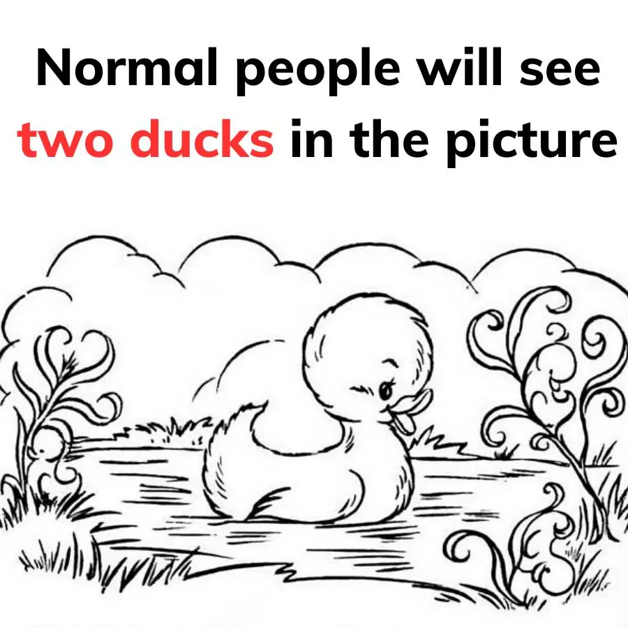 Normal people will see two ducks in the picture