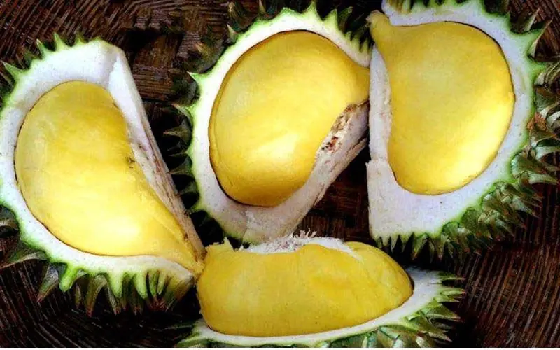 Which Durian Tastes Better: Female or Male? The Ultimate Guide to Picking the Perfect Durian