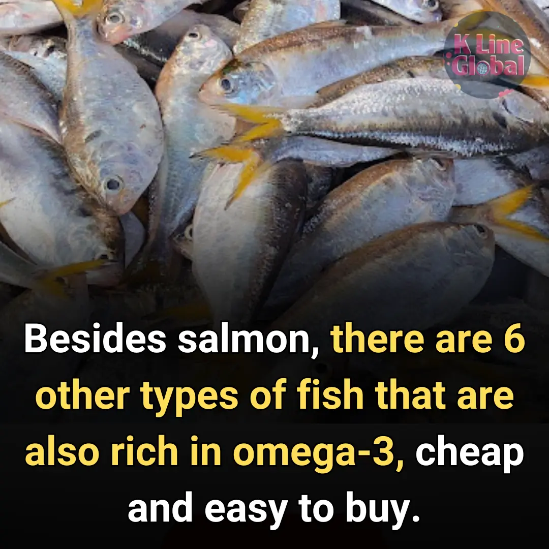 There are 6 other types of fish that are also rich in omega-3