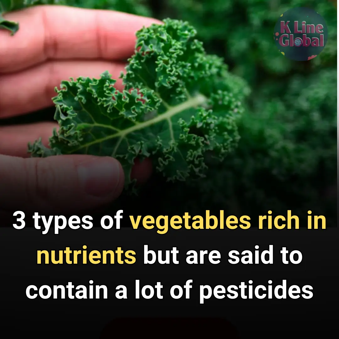 3 types of vegetables rich in nutrients