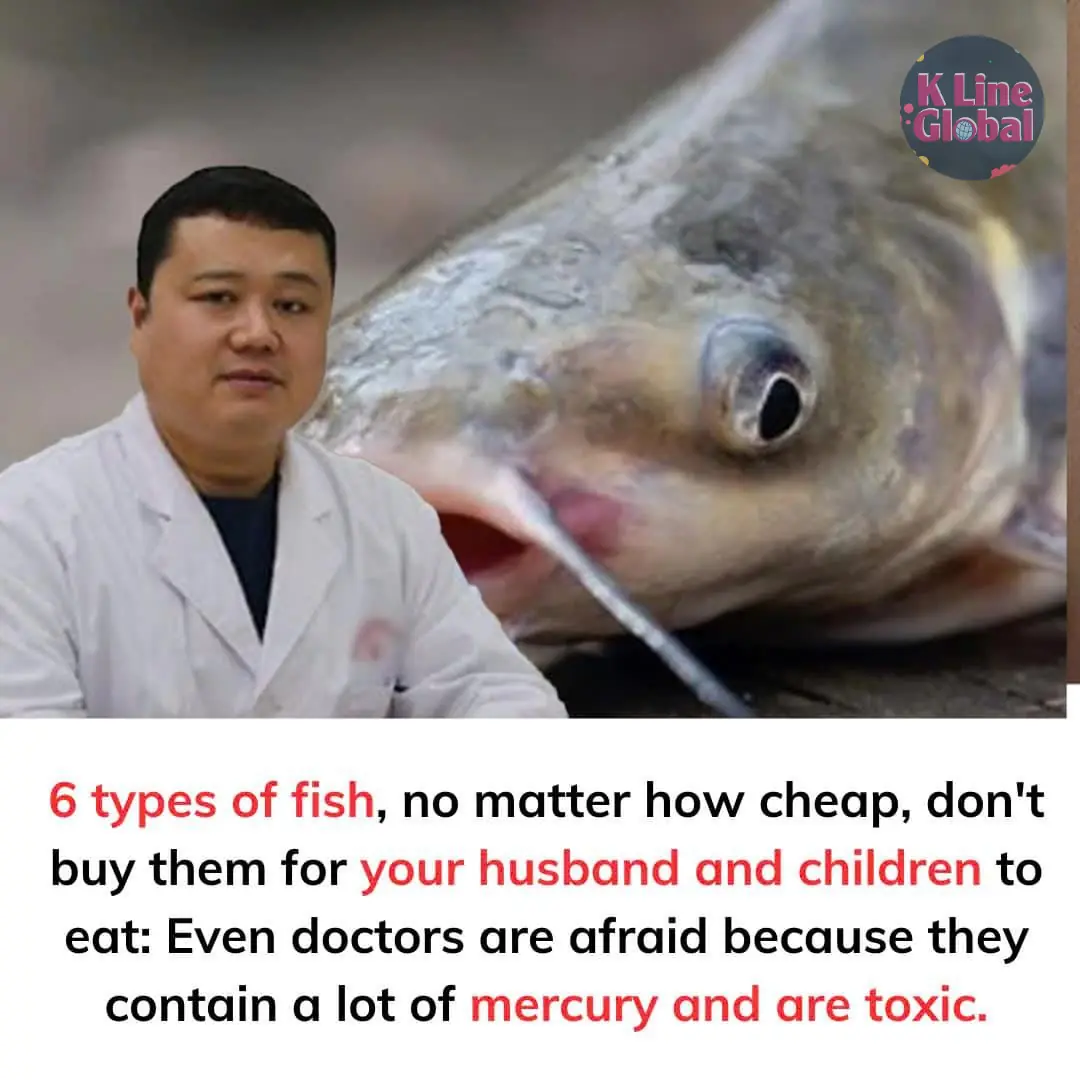 6 types of fish, don't buy them for your husband