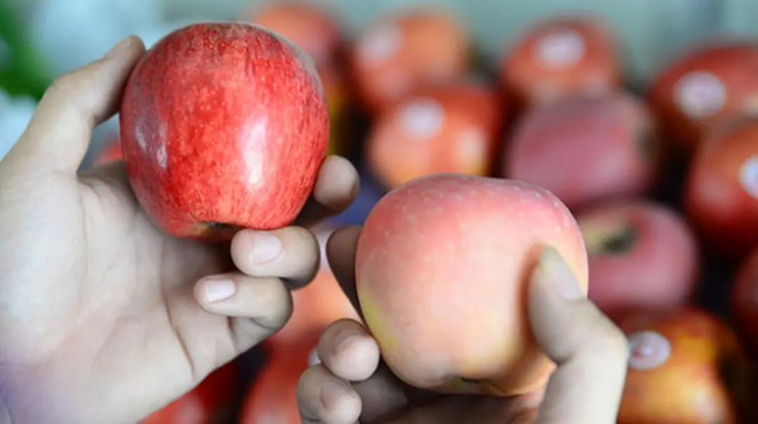 2 Fruits Most Prone to Chemical Soaking – The #1 Pick Is Crunchy and Sweet!