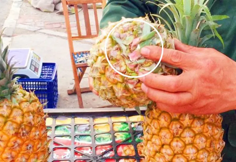 Choosing Large, Long Pineapples Is a Mistake! 6 Easy Ways to Pick the Sweetest One Without Tasting