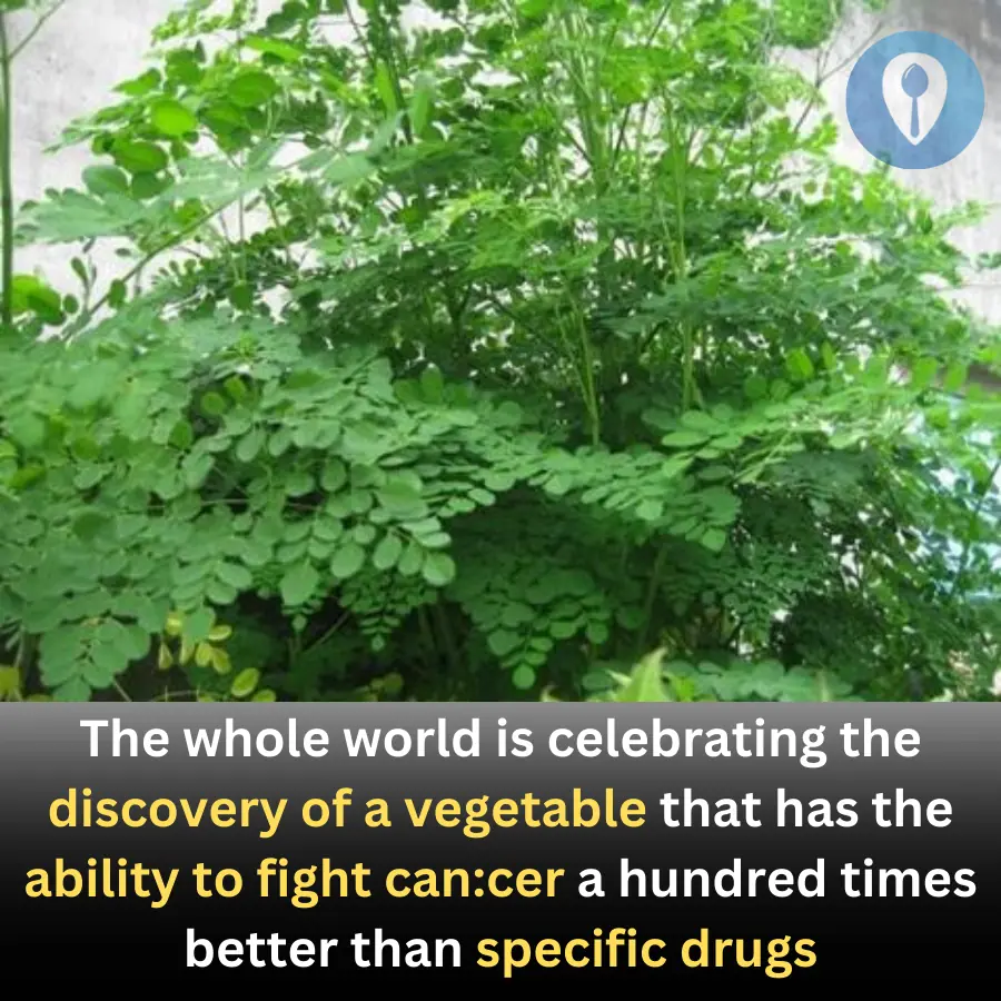 The whole world is celebrating the discovery of a vegetable