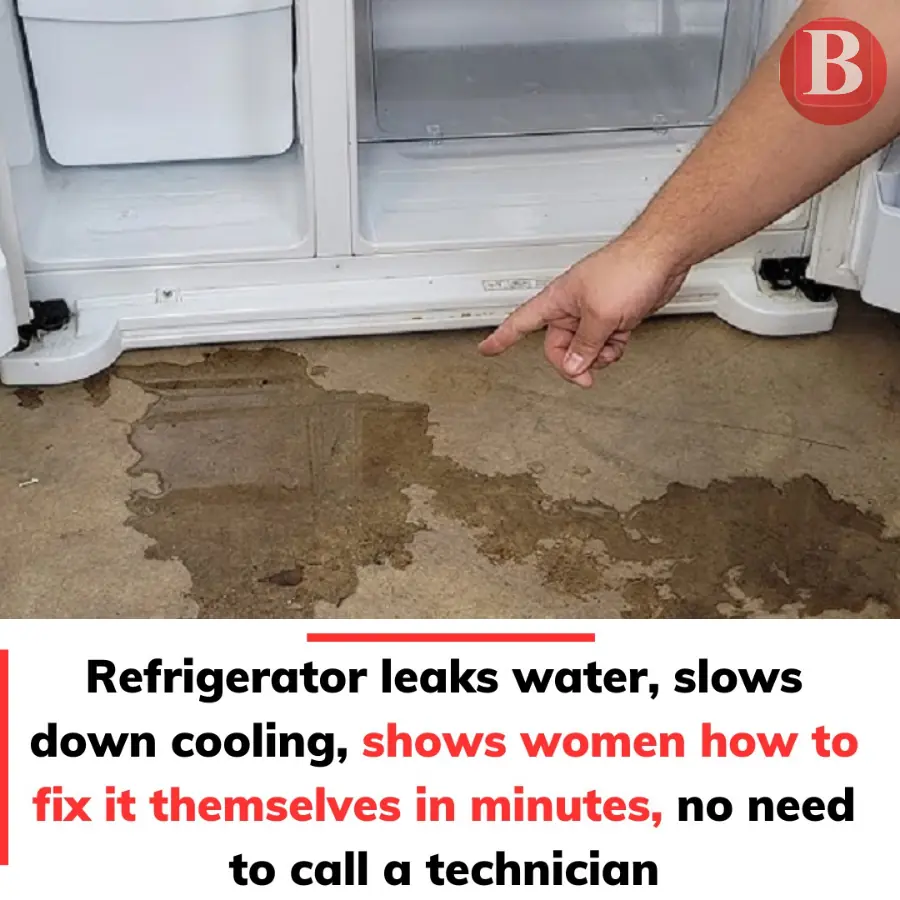 Refrigerator leaks water, slows down cooling